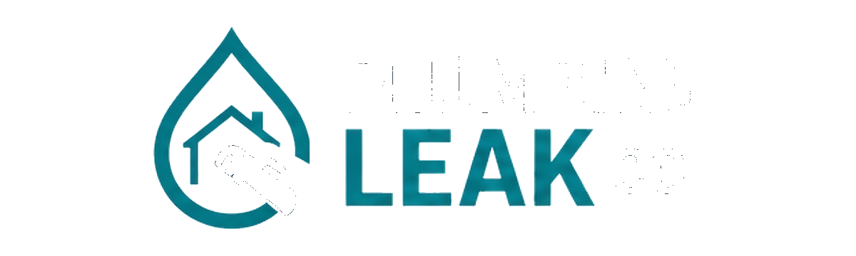 Plumbing Leak Co.